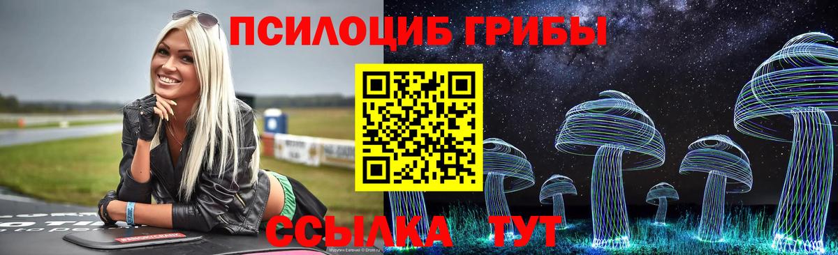 Псилоцибиновые грибы Psilocybine cubensis  Вход с VPN  Семёнов 