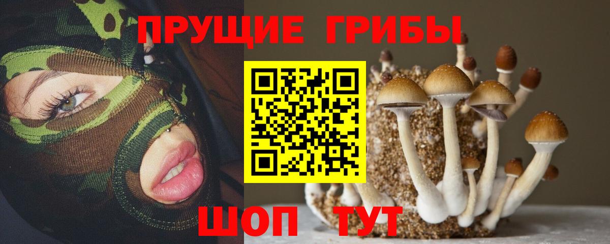Псилоцибиновые грибы прущие грибы Семёнов